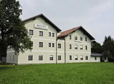 Feldschlange
