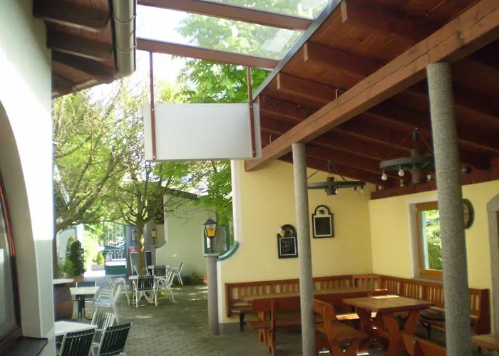 Feldschlange Ried im Innkreis