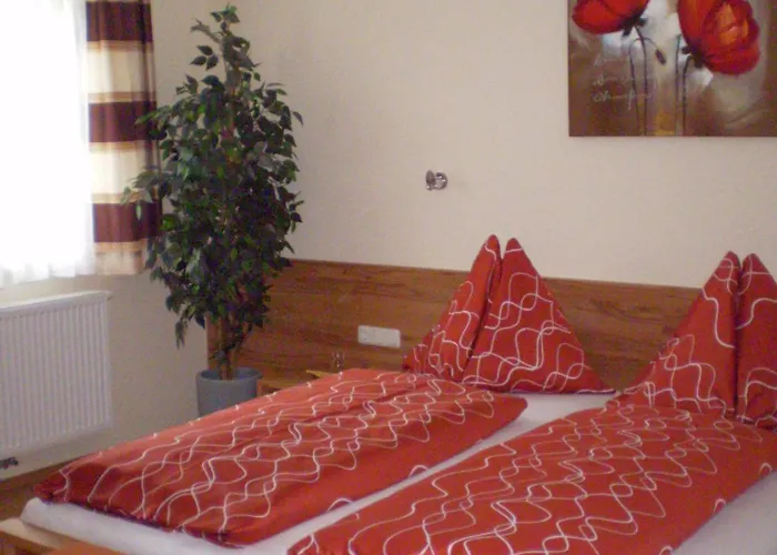 Feldschlange ريد إم إنكرايس